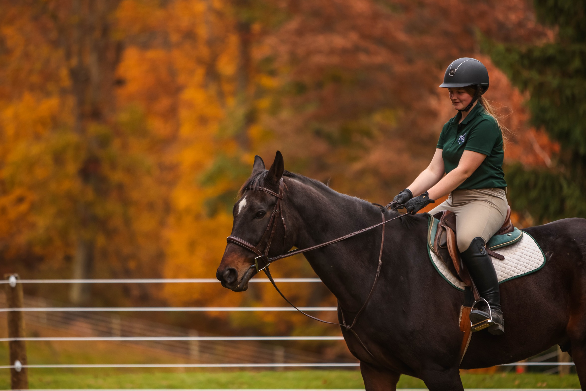 BCET returns to Oglebay Stables for their annual home show