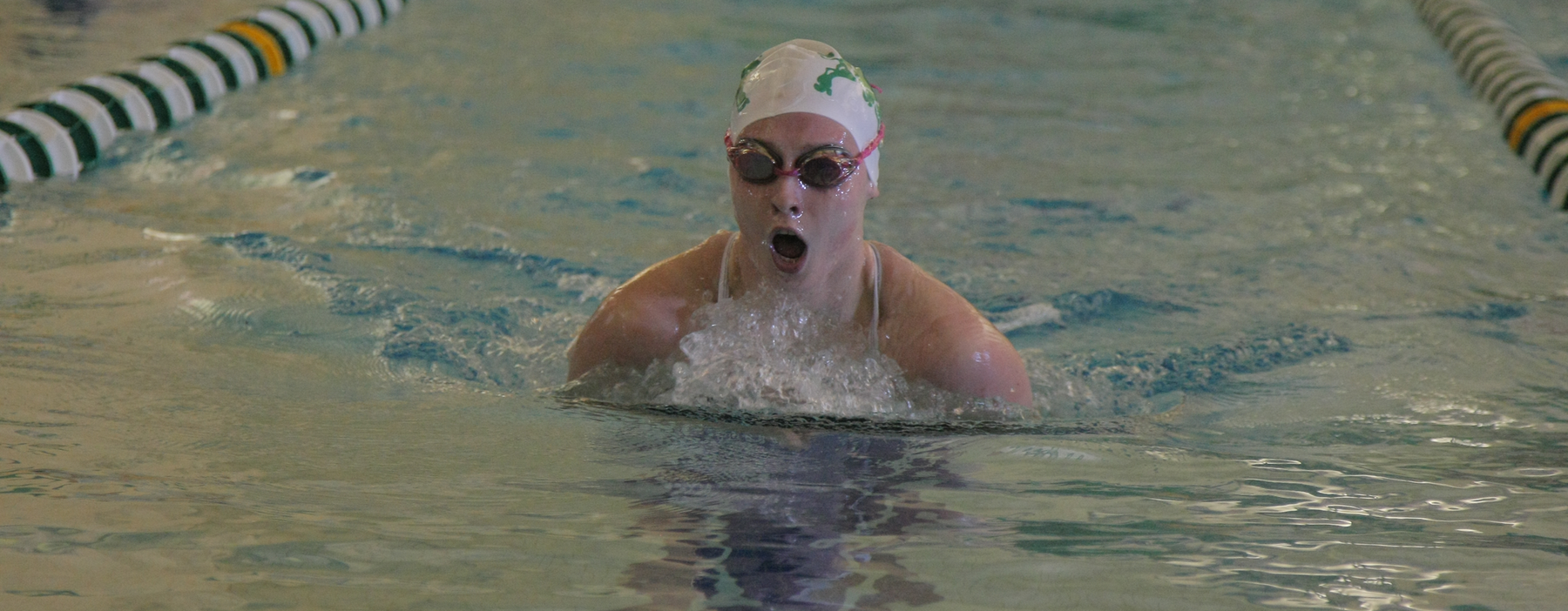 Swimming and Diving dealt losses by Penn State-Altoona