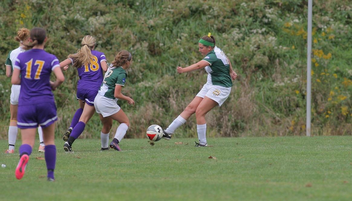Bison fall to Alfred, 1-0