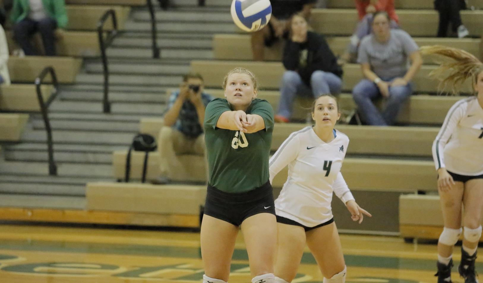 Volleyball rallies past W&J, 3-2