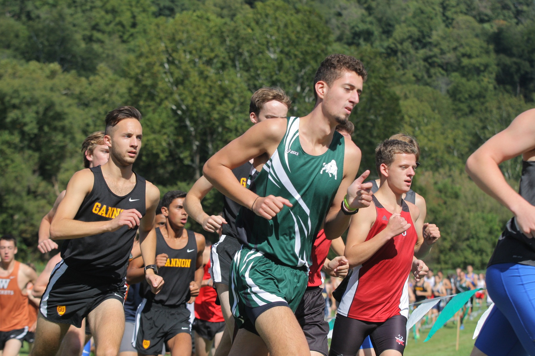 Bison run at NCAA Division III Mideast Regional Championships