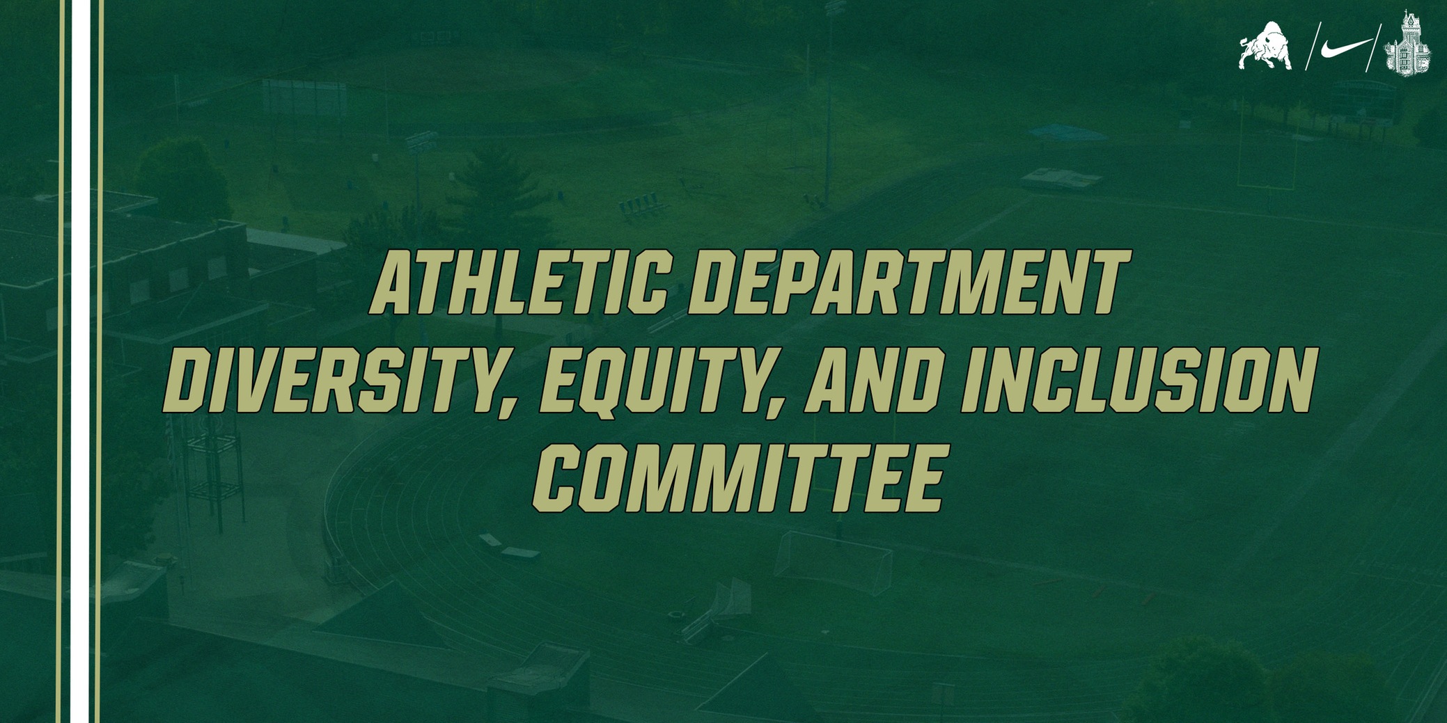 Bethany College Athletics Launches Committee on Diversity, Equity, and Inclusion