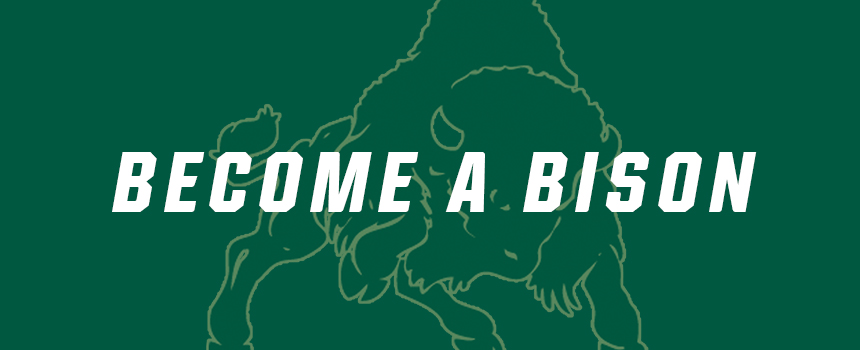 Become A Bison