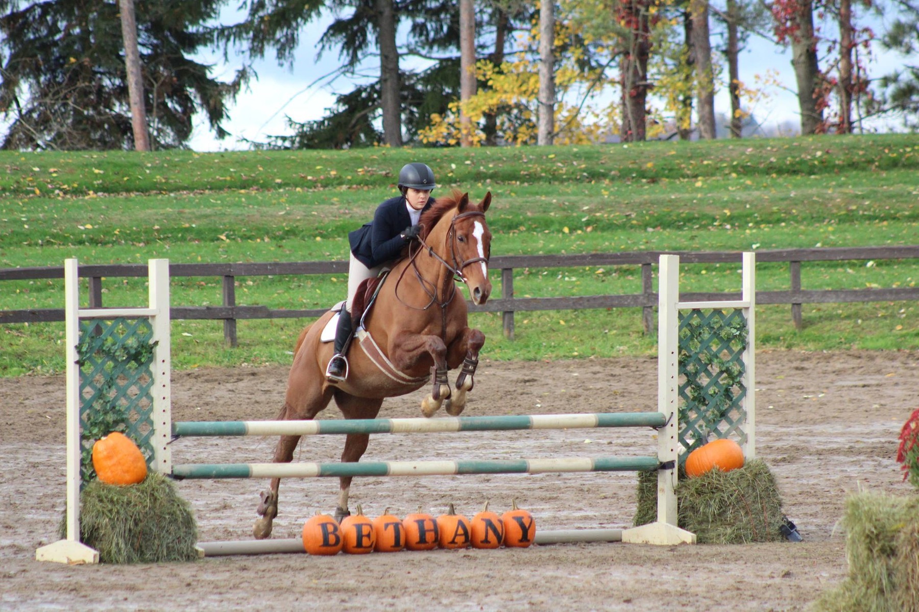 Bethany College to Host Horse Shows
