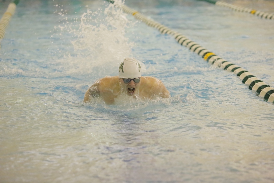 Swimming & Diving drops meet to Penn State-Altoona