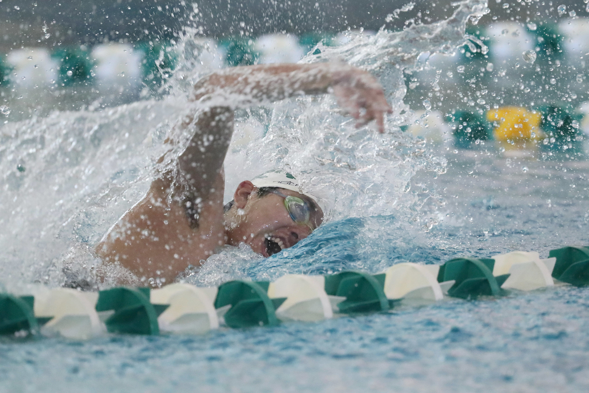 Men's Swimming & Diving Predicted Seventh in Preseason Poll