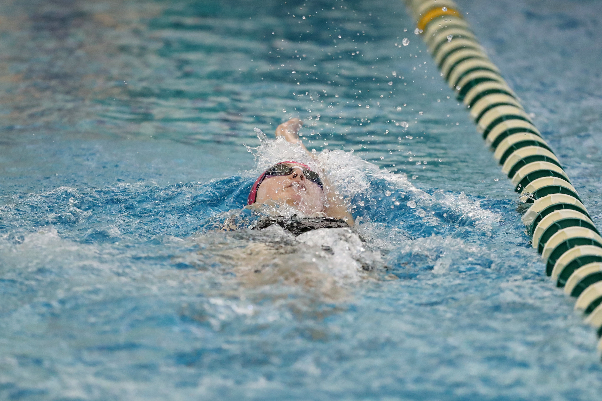 Bison Swim Against West Virginia Counterparts at WVU