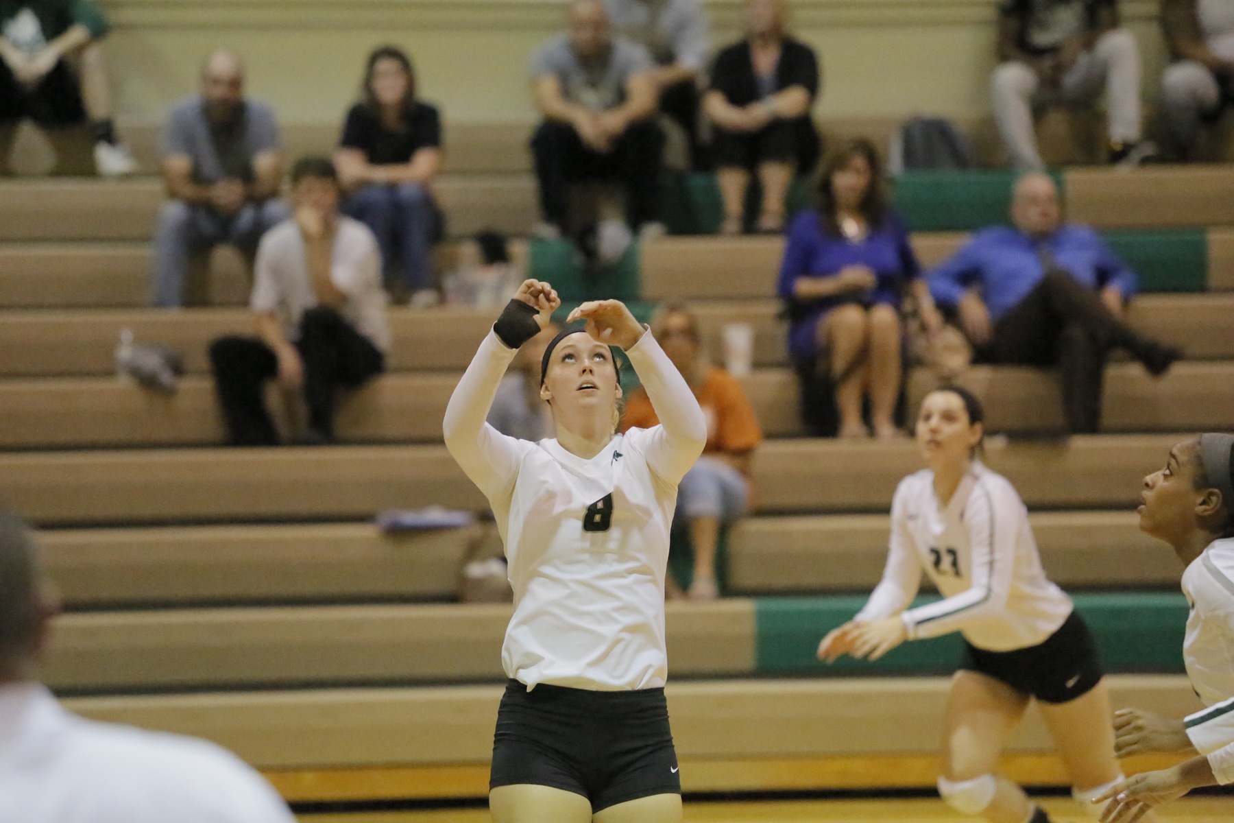 Volleyball Opens Season with a Sweep Over Utica