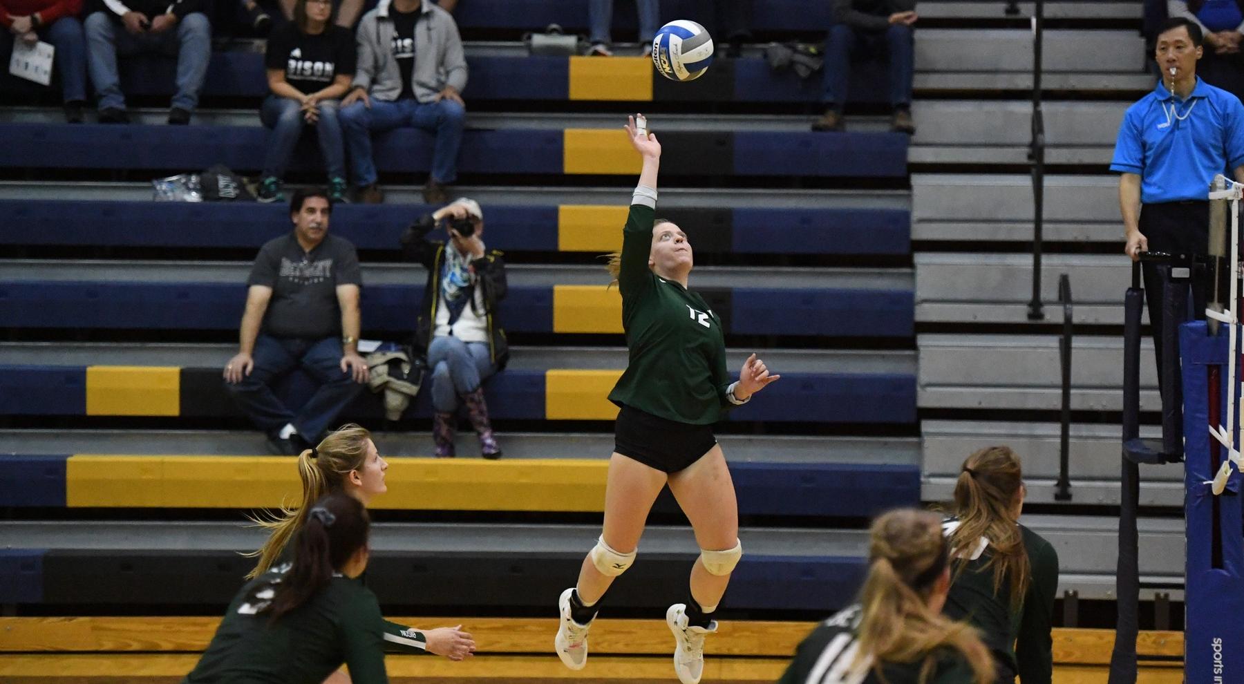 Volleyball Falls in Home Opener