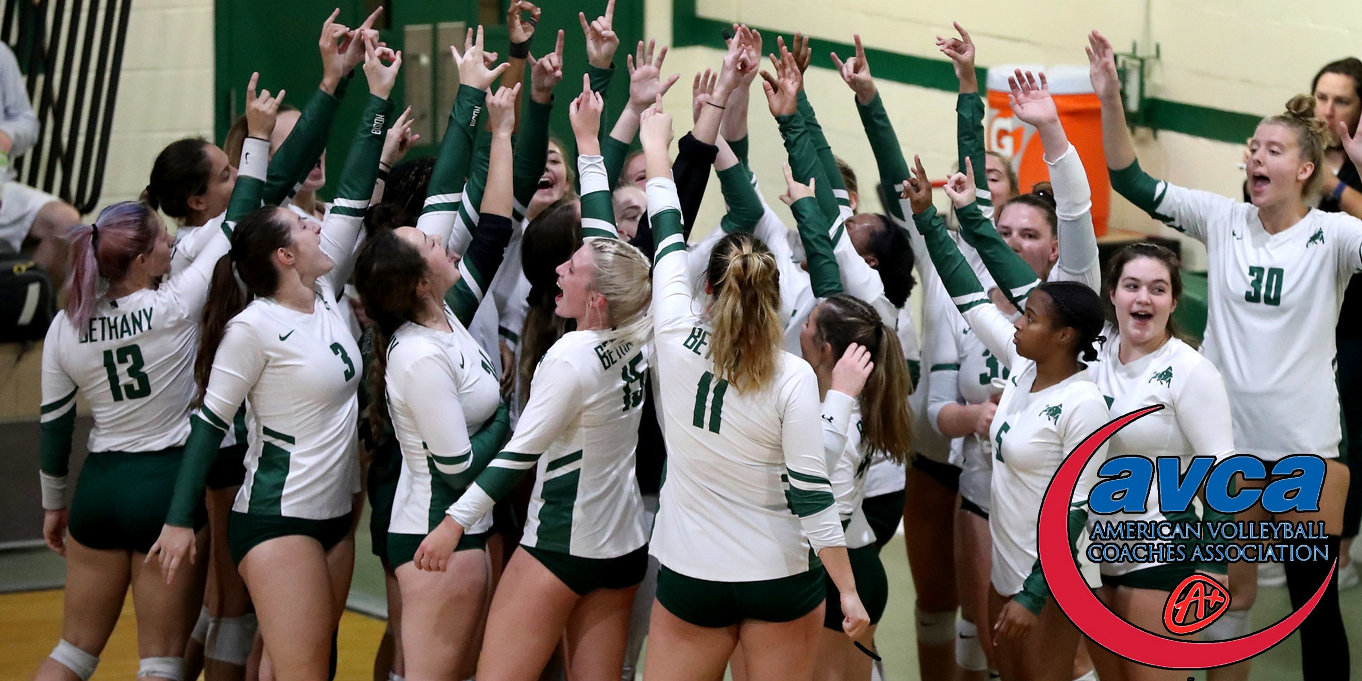 Bethany College Volleyball Receives AVCA Team Academic Award